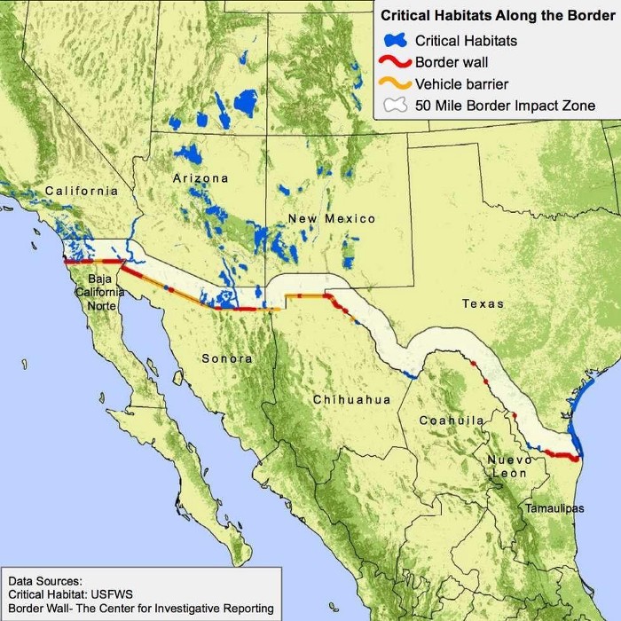 The Effect of Border Construction on Biodiversity - Greening Forward