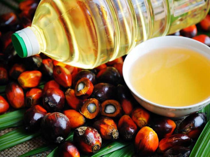 blog-contest-winner-the-palm-oil-industry-greening-forward